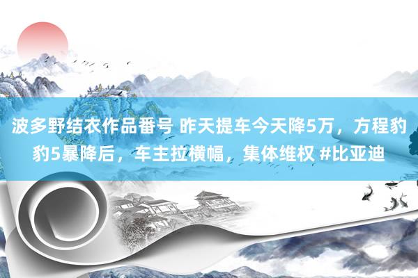 波多野结衣作品番号 昨天提车今天降5万，方程豹豹5暴降后，车主拉横幅，集体维权 #比亚迪