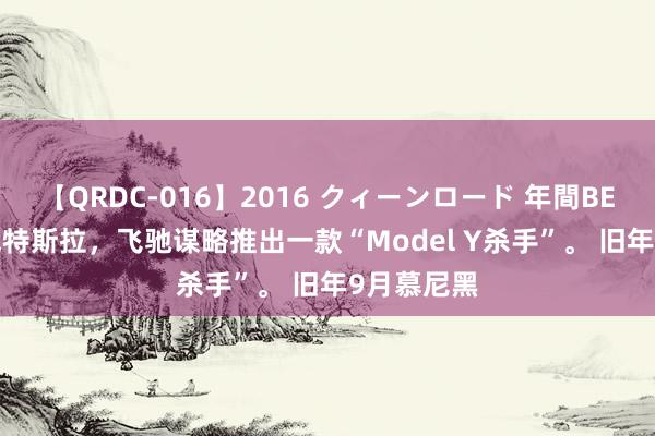 【QRDC-016】2016 クィーンロード 年間BEST10 挑战特斯拉，飞驰谋略推出一款“Model Y杀手”。 旧年9月慕尼黑