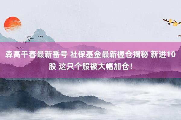 森高千春最新番号 社保基金最新握仓揭秘 新进10股 这只个股被大幅加仓！