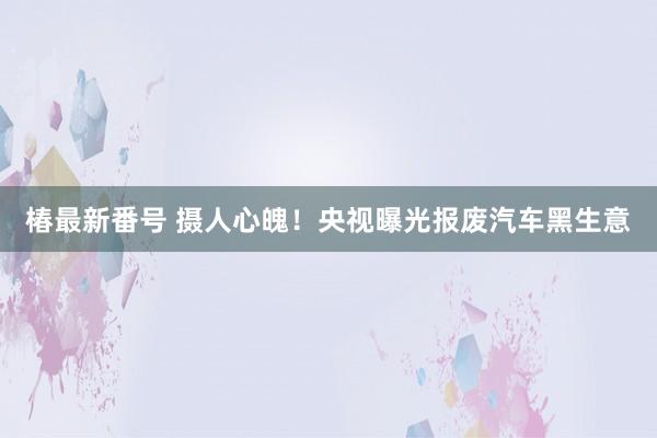 椿最新番号 摄人心魄！央视曝光报废汽车黑生意