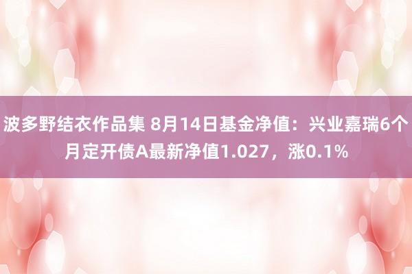 波多野结衣作品集 8月14日基金净值：兴业嘉瑞6个月定开债A最新净值1.027，涨0.1%