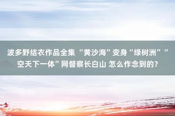 波多野结衣作品全集 “黄沙海”变身“绿树洲”“空天下一体”网督察长白山 怎么作念到的？