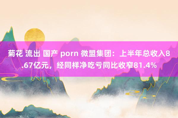 菊花 流出 国产 porn 微盟集团：上半年总收入8.67亿元，经同样净吃亏同比收窄81.4%