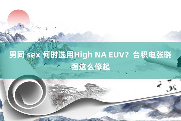 男同 sex 何时选用High NA EUV？台积电张晓强这么修起