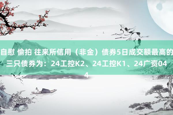 自慰 偷拍 往来所信用（非金）债券5日成交额最高的三只债券为：24工控K2、24工控K1、24广资04